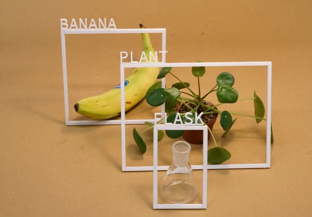 A banana, a potted plant, and an empty glass flask, each inside white frames labeled accordingly, on a beige background.